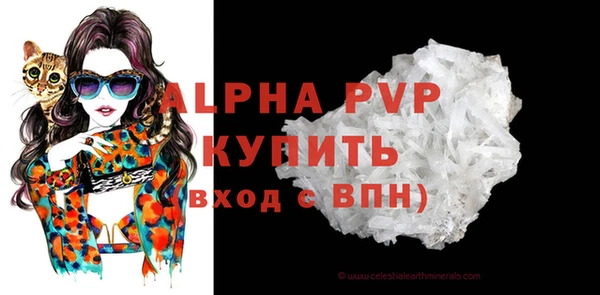 дмт Осташков