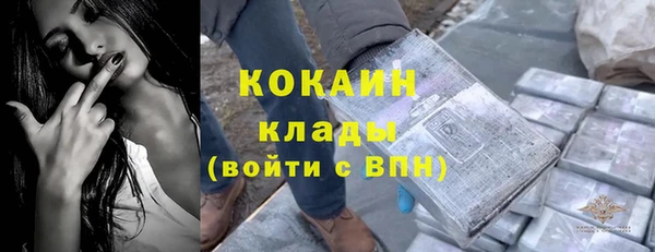 дмт Осташков