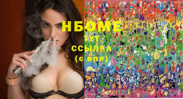 дмт Осташков